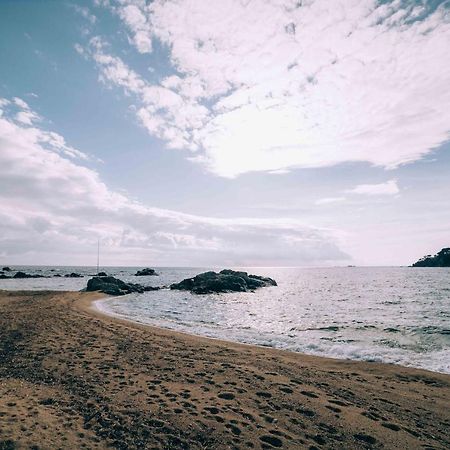 Apartamento Reformado A 2 Minutos De La Playa En Calella! カレリャ・デ・パラフルジェリ エクステリア 写真