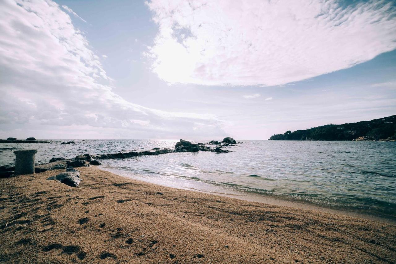 Apartamento Reformado A 2 Minutos De La Playa En Calella! カレリャ・デ・パラフルジェリ エクステリア 写真